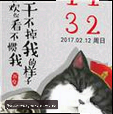 赵凯